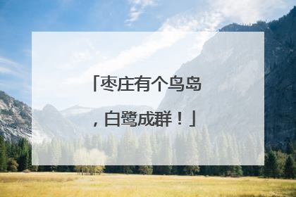 枣庄有个鸟岛，白鹭成群！